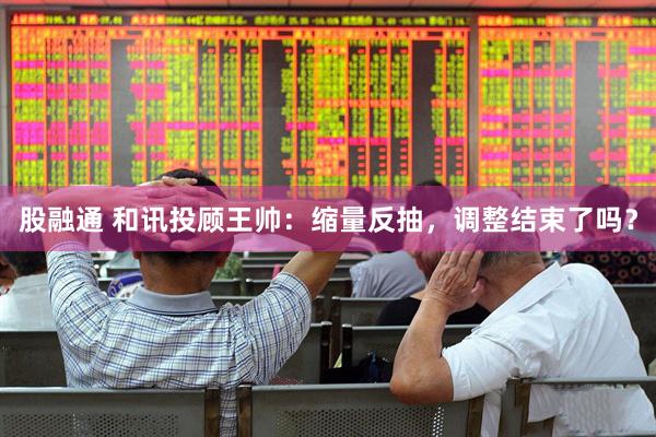 股融通 和讯投顾王帅：缩量反抽，调整结束了吗？