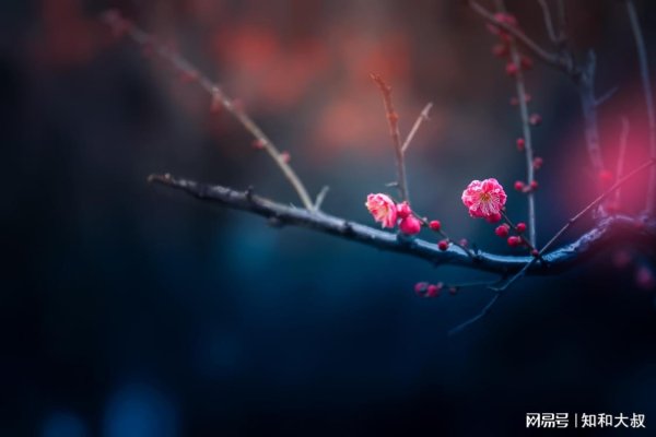 捷希源配资 一个女人，身上能有这两个字，才是真厉害、有远见