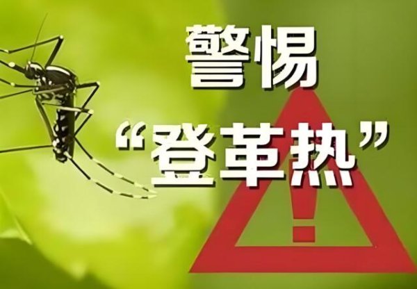富才配资 湖南疾控提醒: 登革热“病毒快递”来袭, 速速留心!