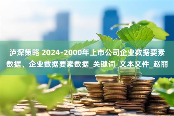 泸深策略 2024-2000年上市公司企业数据要素数据、企业数据要素数据_关键词_文本文件_赵丽