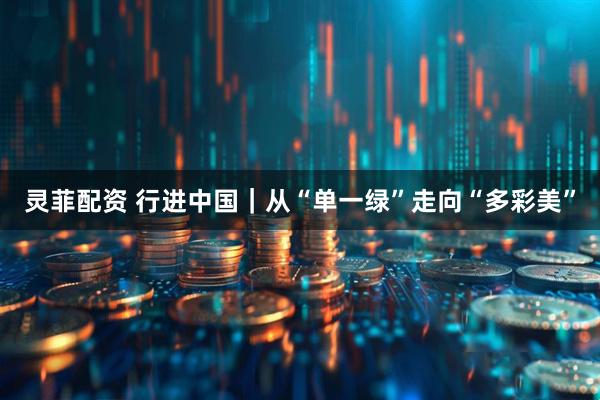 灵菲配资 行进中国｜从“单一绿”走向“多彩美”