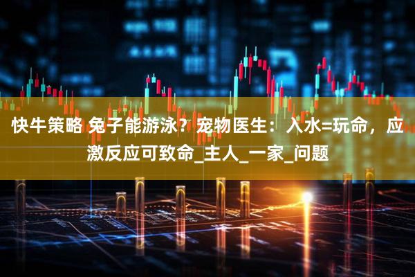 快牛策略 兔子能游泳？宠物医生：入水=玩命，应激反应可致命_主人_一家_问题