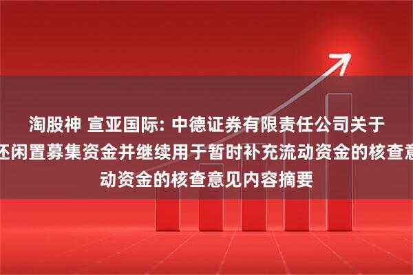 淘股神 宣亚国际: 中德证券有限责任公司关于公司延期归还闲置募集资金并继续用于暂时补充流动资金的核查意见内容摘要